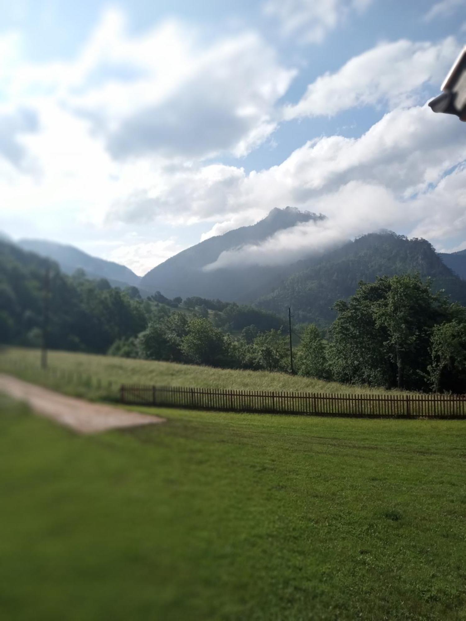 Family Owned Self Sufficient Eco Farm Tara Hotel Pljevlja Bagian luar foto